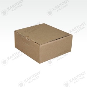 Karton fasonowy 270x270x120mm (57)