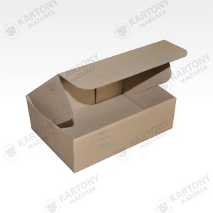 Karton fasonowy 245x190x63mm (662)   