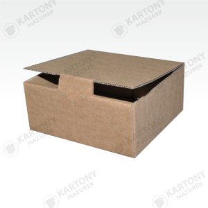 Karton fasonowy 180x175x80mm (308)