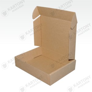 Karton fasonowy 195x120x40mm (698)       