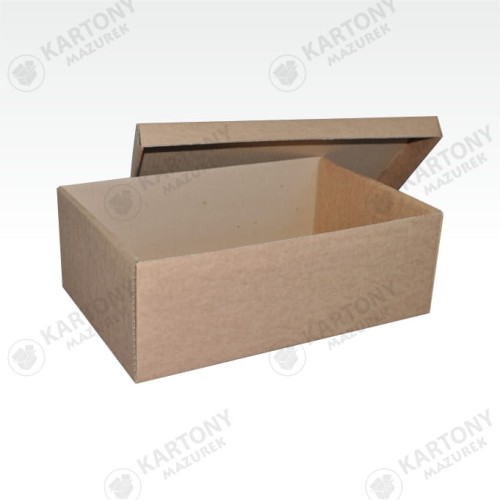 Pudełko z wieczkiem 330x225x120mm (253)