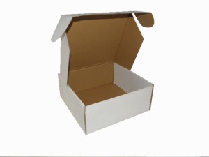 Karton fasonowy 300x260x70mm – biały (344)