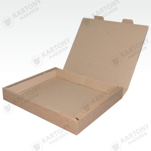 Karton fasonowy 380x310x50mm (75)