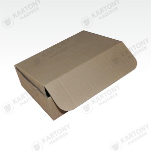 Karton fasonowy 235x190x55mm(348)